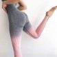 Kaminsky Women Seamless High Waist Workout Leggings 