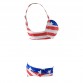 American Flag Election 2 Piece Bikini